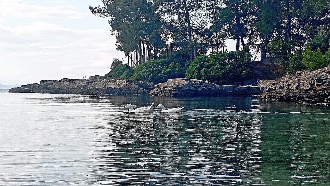 Photo of Others in Volos