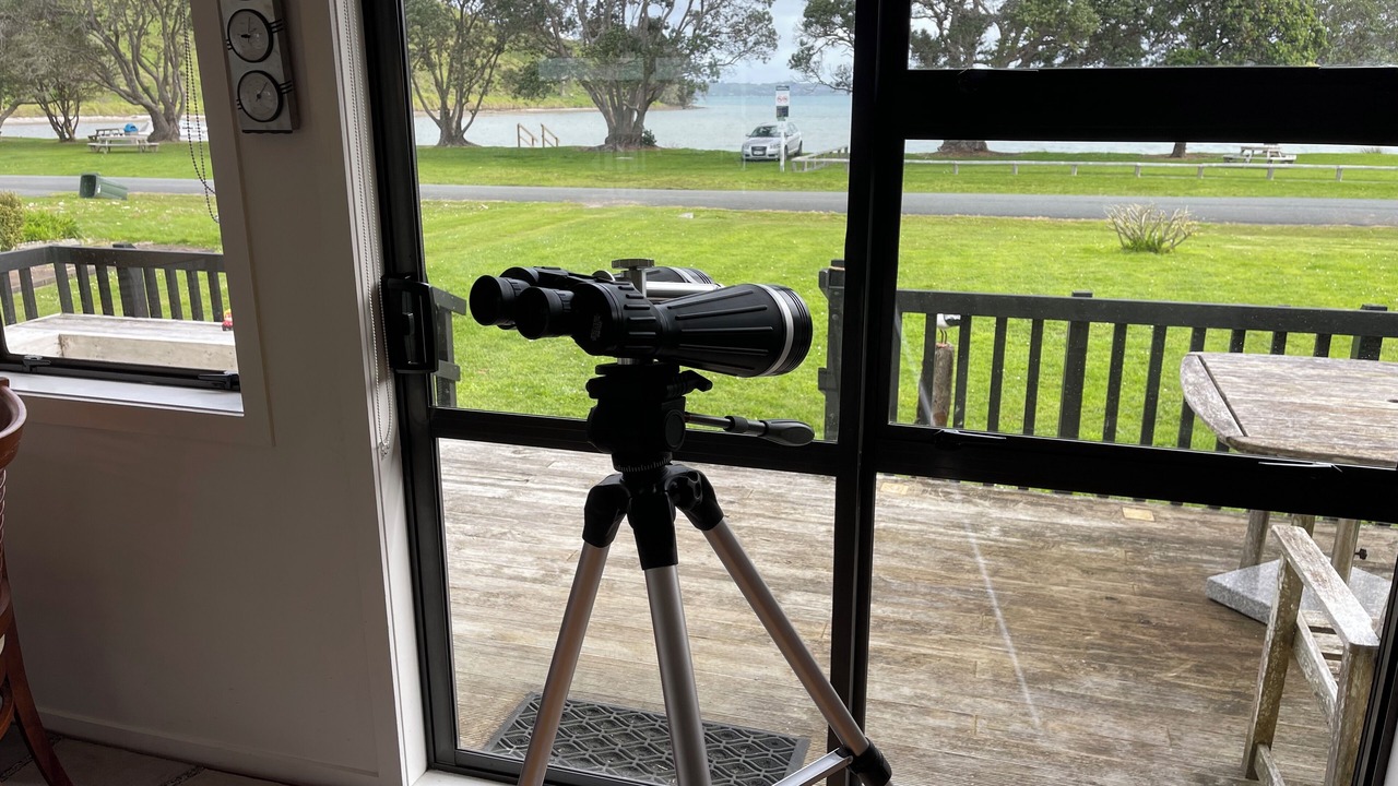 Photo of Others in Tawharanui