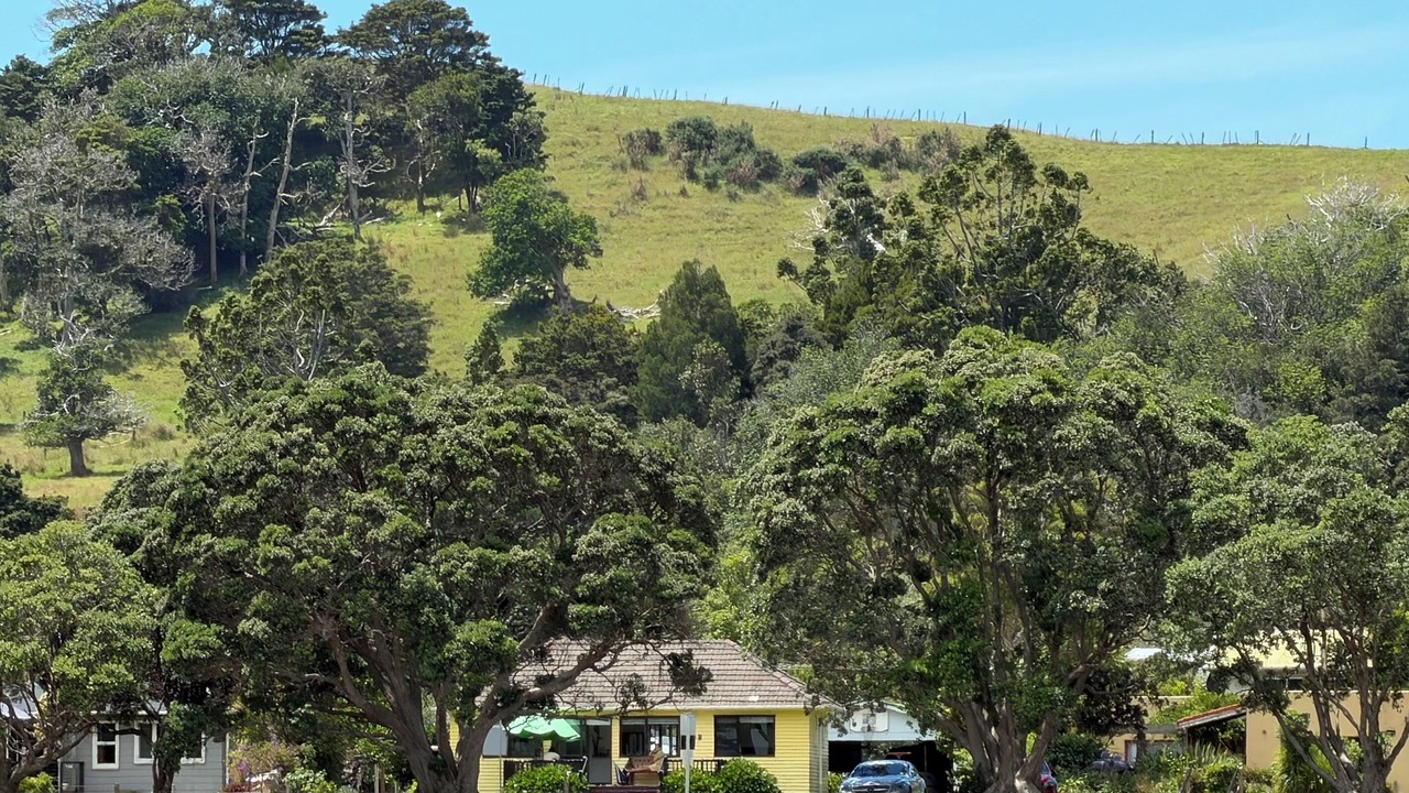 Photo of Others in Tawharanui
