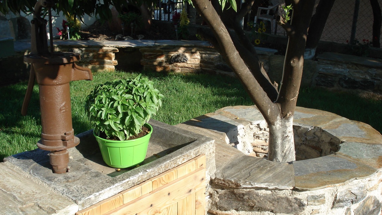 Photo of Outdoor in Kala Nera