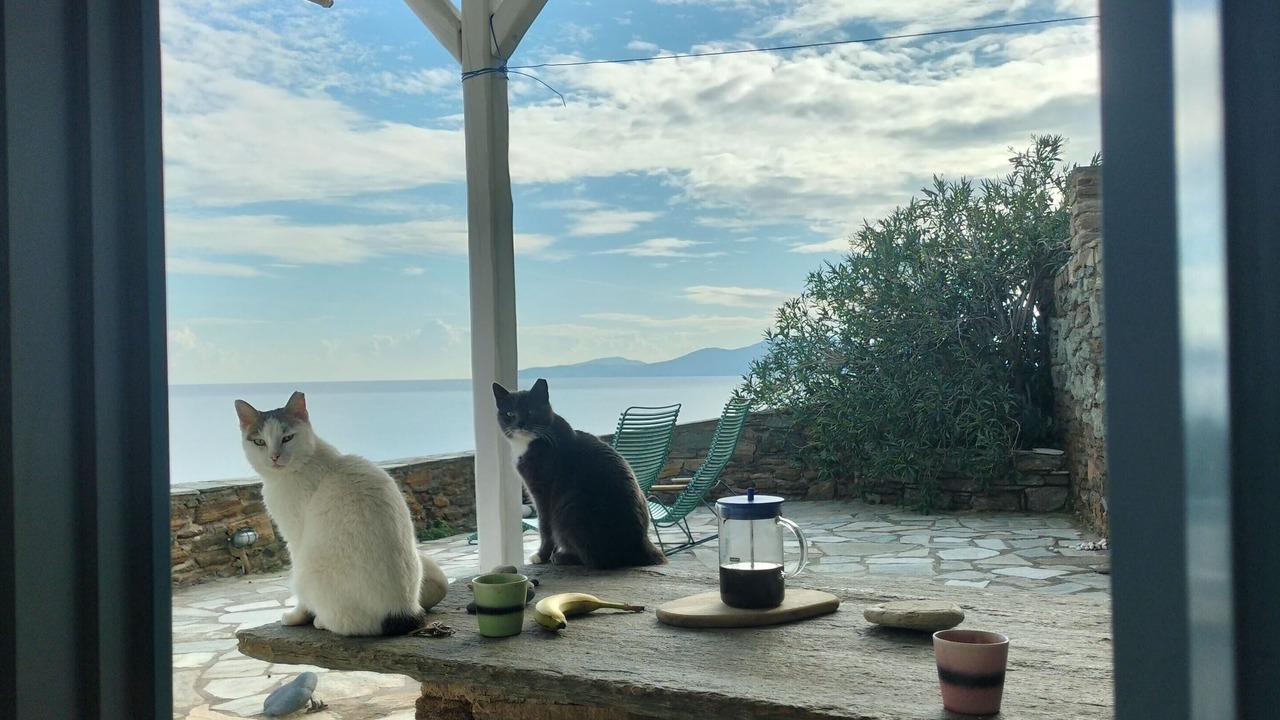 Photo of Others in Tinos