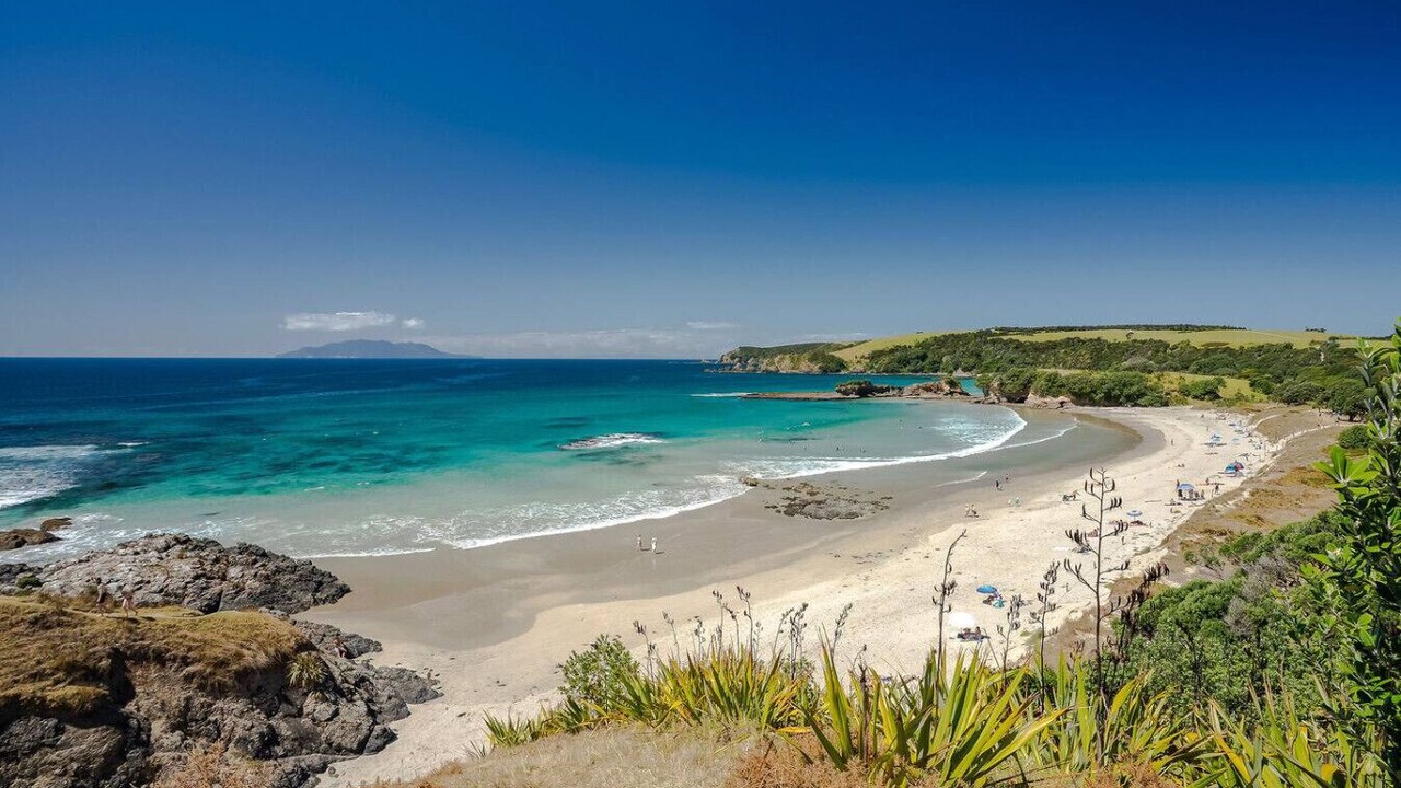 Photo of Others in Tawharanui