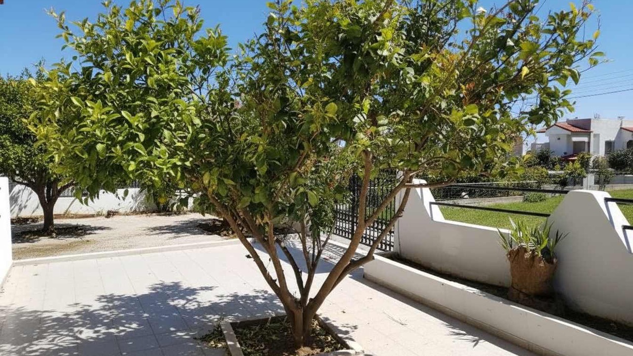 Photo of Outdoor in Psinthos