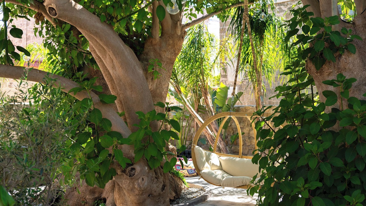 Photo of Outdoor in Rhodes Old Town