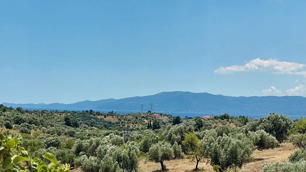 Photo of Others in Amarinthos