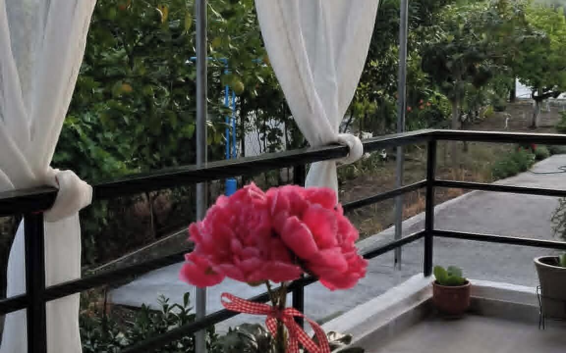 Photo of Outdoor in Kolymbia