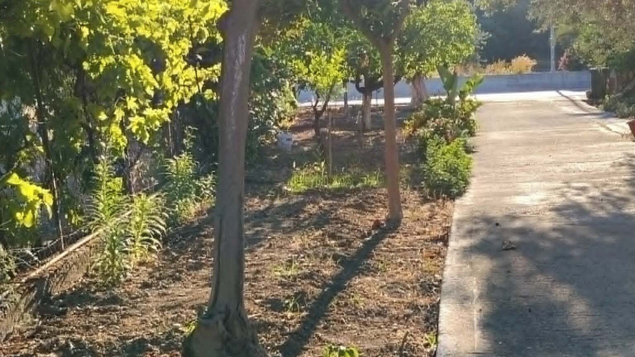 Photo of Outdoor in Kolymbia
