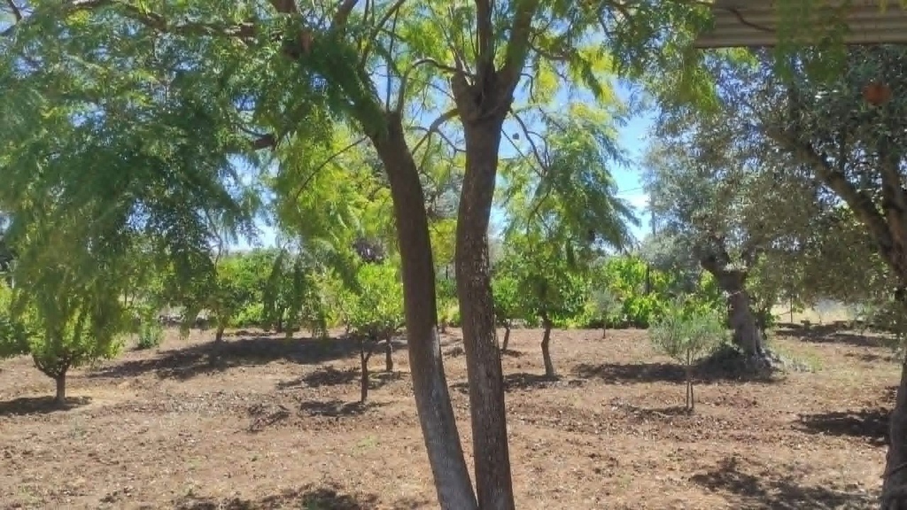 Photo of Others in Kolymbia