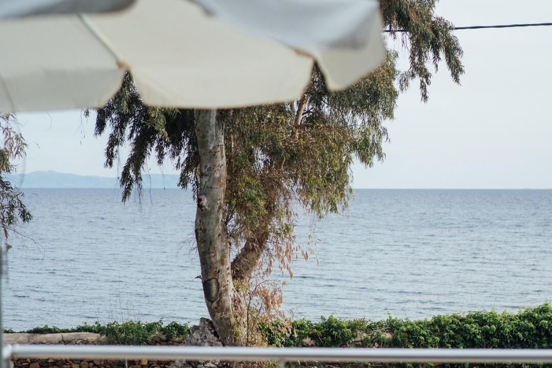 Photo of Outdoor in Plomari