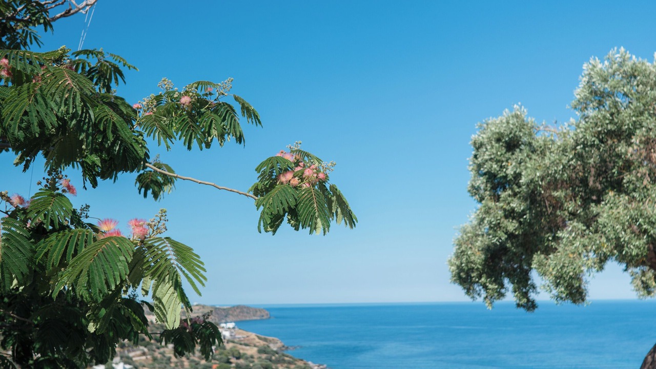 Photo of Outdoor in Agii Apostoli