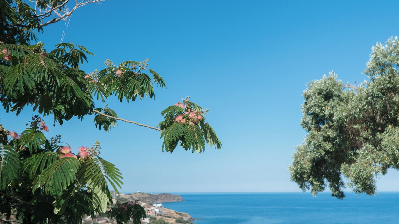 Photo of Outdoor in Agii Apostoli
