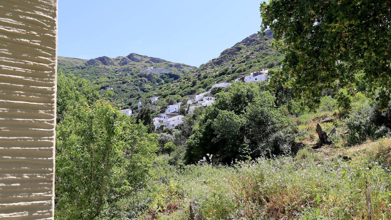 Photo of Others in Andros Town