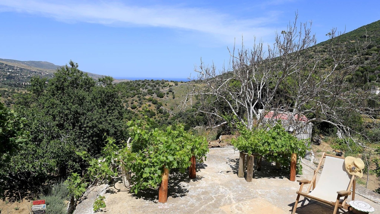 Photo of Outdoor in Andros Town