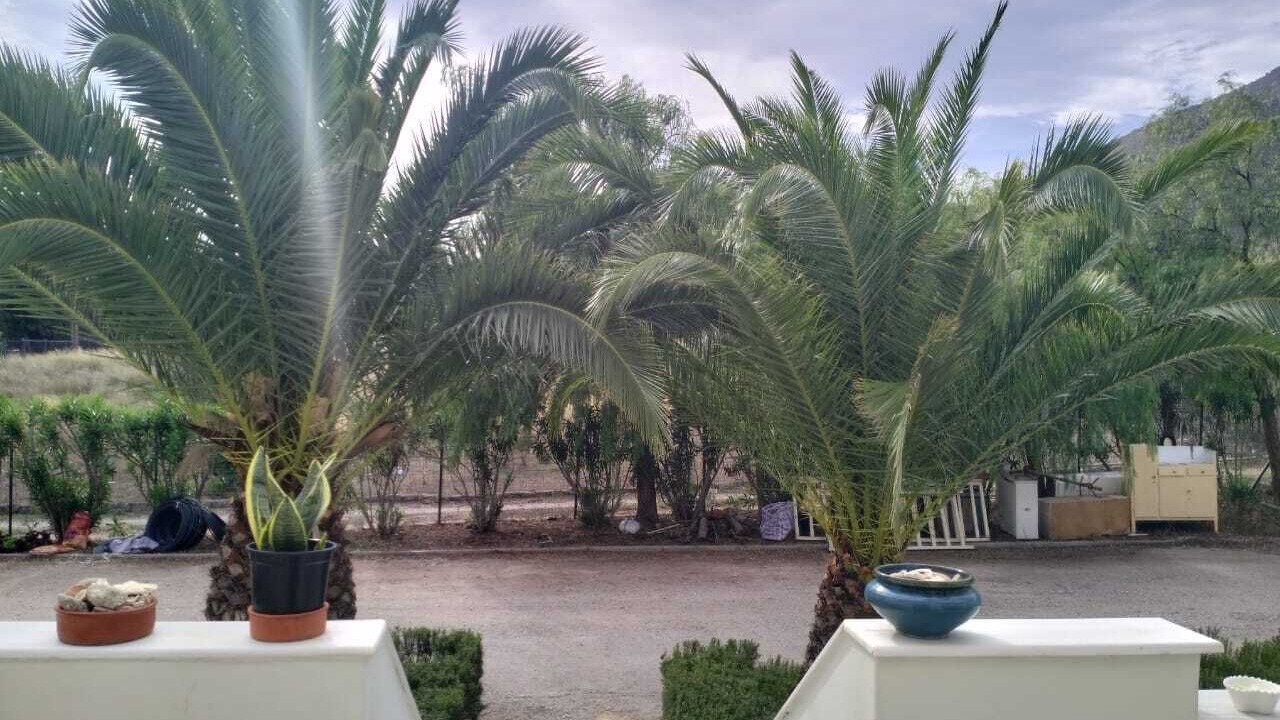 Photo of Outdoor in Galaxidi