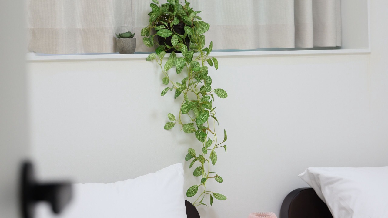 Photo of Bedroom in Goyang
