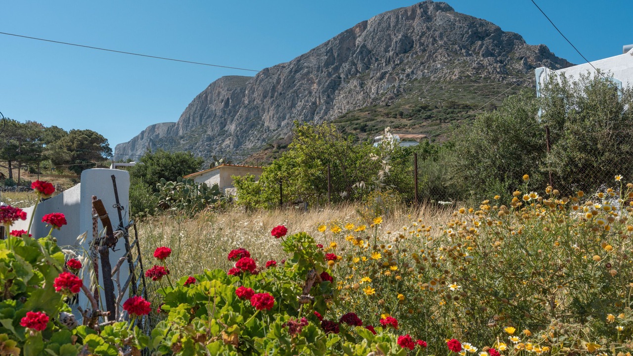 Photo of Outdoor in Telendos