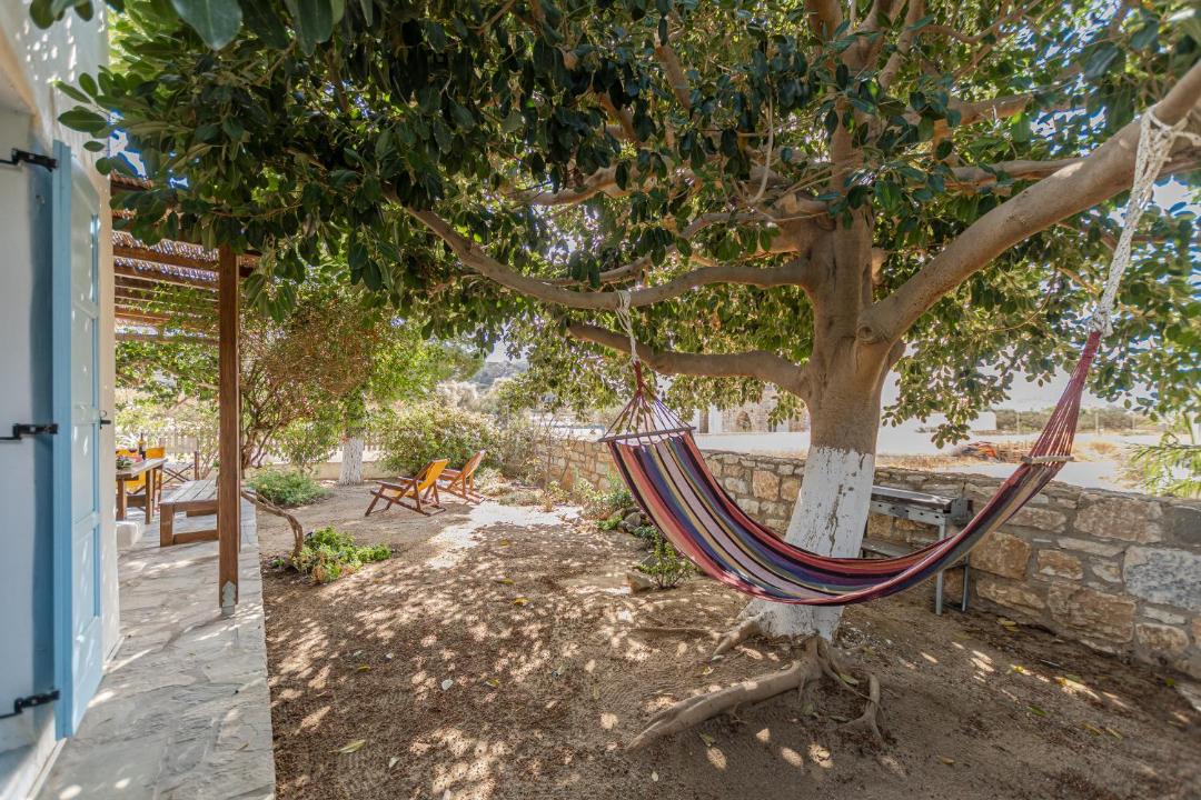 Photo of Others in Plaka
