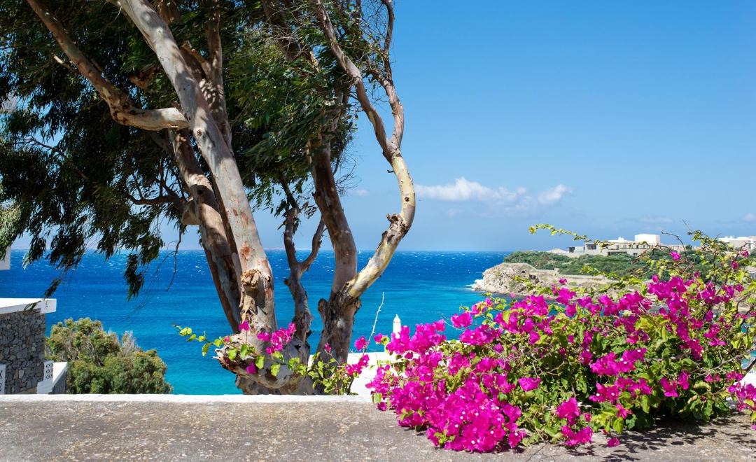 Photo of Others in Agios Stefanos