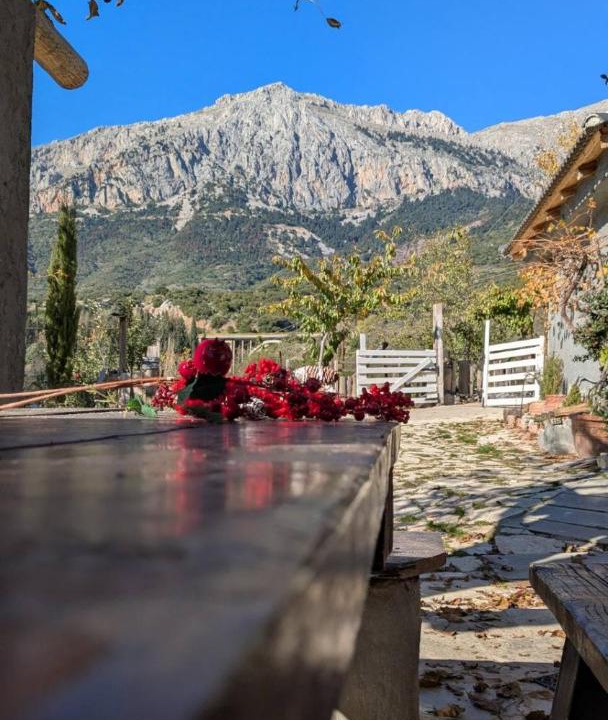 Photo of Others in Arachova