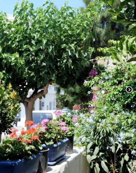 Photo of Others in Tinos Town