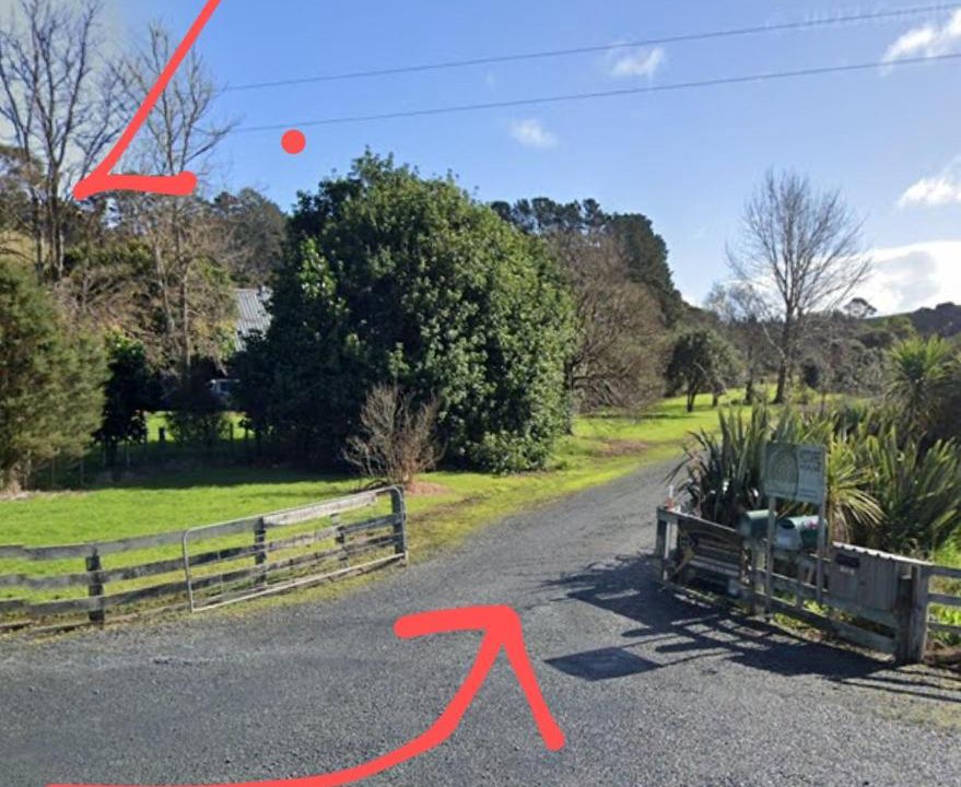 Photo of Others in Tawharanui
