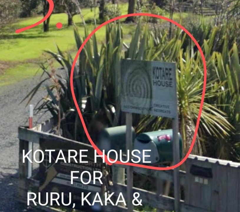 Photo of Others in Tawharanui