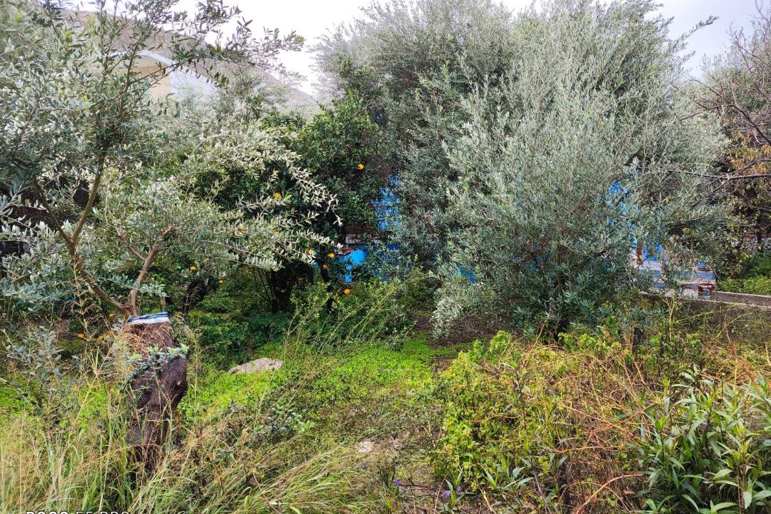 Photo of Others in Panormos