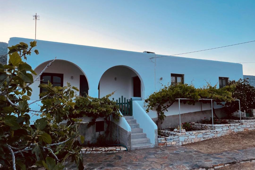 Photo of Others in Naxos