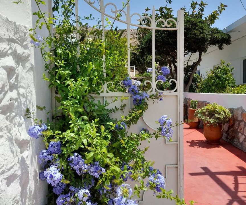 Photo of Others in Astypalaia