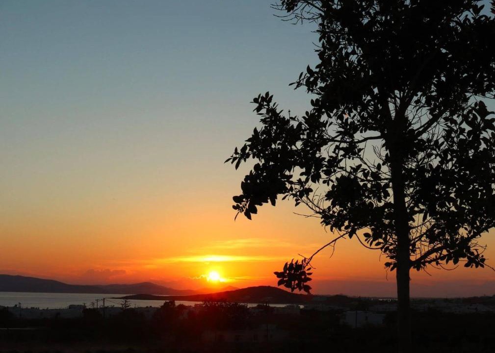 Photo of Others in Agia Anna