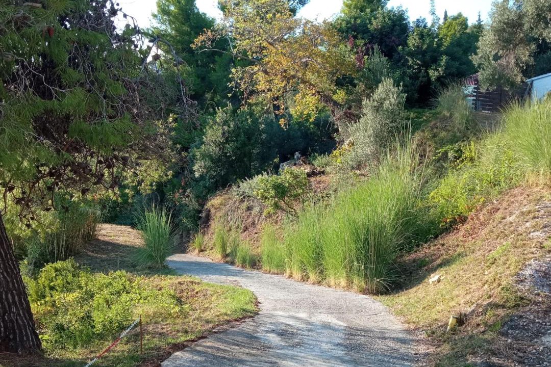Photo of Outdoor in Stafylos