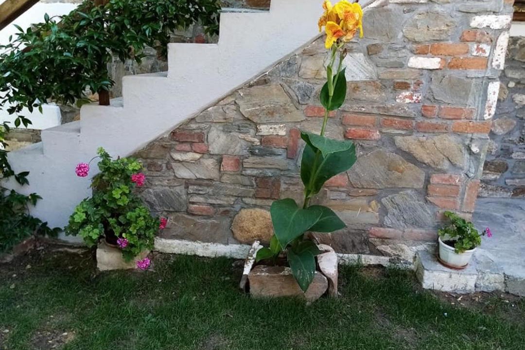 Photo of Others in Agios Nikolaos