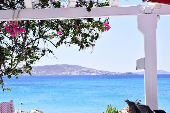 Photo of Others in Agios Stefanos