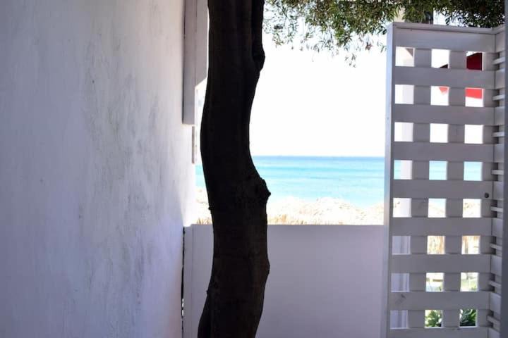 Photo of Others in Agios Stefanos