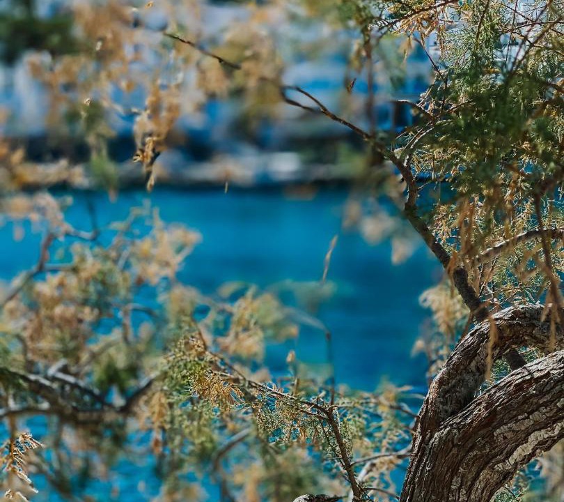 Photo of Others in Astypalaia