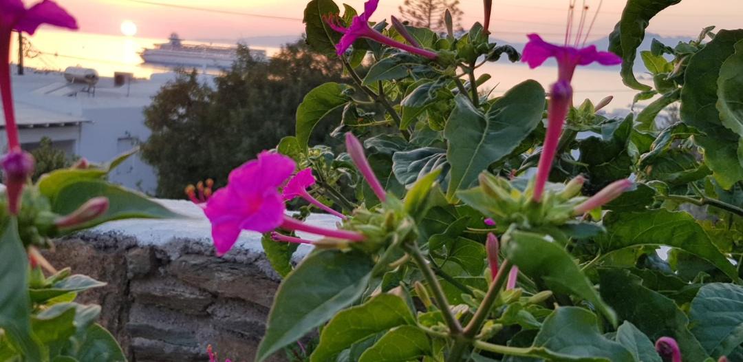 Photo of Others in Mykonos Town