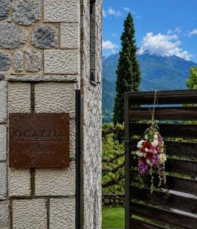 Polidrosos Apartment | Ocazzia of Parnassos