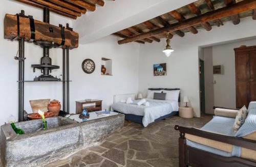 Andros Town Apartment | Olive Guesthouse near farm