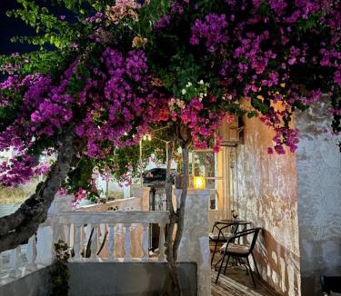 Panteli Apartment | Bougainvillea Nest Panteli, Leros